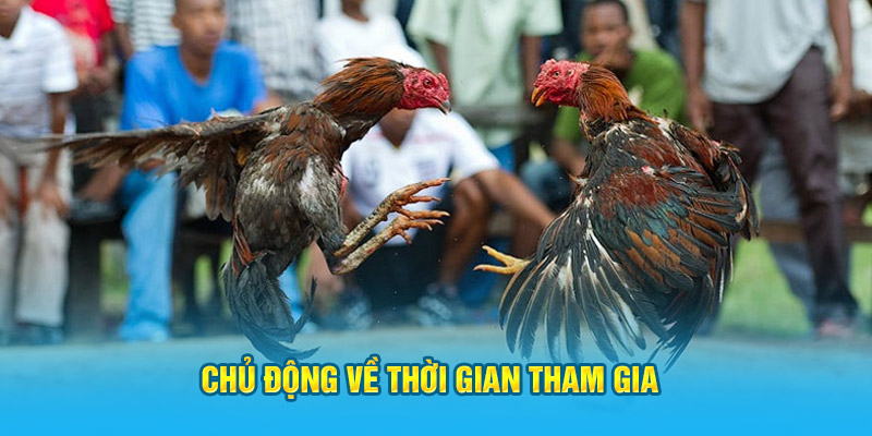 Chủ động về thời gian tham gia