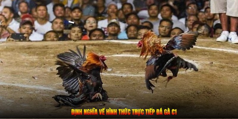 Đá gà trực tiếp C1 là giải đấu được nhiều người ưa chuộng